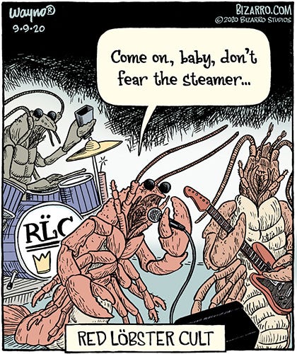 Comic illustration of a rock and roll band of lobsters instead of humans. The singer is singing, “Come on, baby, don’t fear the steamer…” The caption below reads: Red Löbster Cult, in a font that emulates the way Blue Öyster Cult spelled their name. This comic is by my partner in comic comedy, Wayno®.