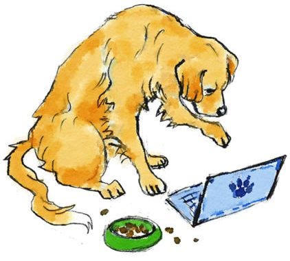 Dog searching for a dog house on the computer