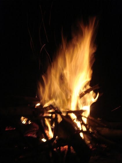 Fire on dried leaves