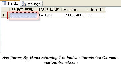HAS_PERMS_BY_NAME Function returning TRUE