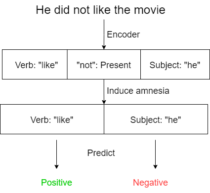 A simplified diagram of amnesic probing. A sentence “He did not like the movie” is encoded into a feature vector with three features: “Verb: ‘like’”, “‘not’: Present”, and “Subject: ‘he’”. Amnesia is then induced and the new feature vector only contains the Verb and Subject features, but is the same length. The model then predicts either “positive” or “negative”.