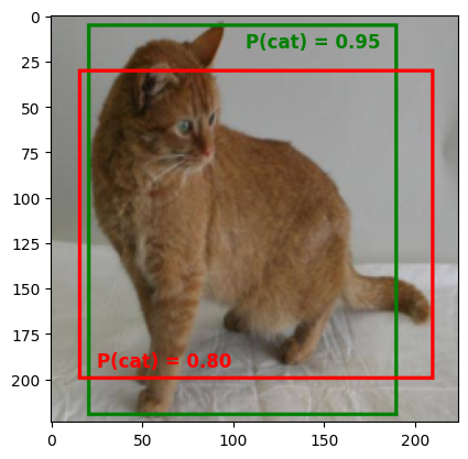Cat Image with two bounding boxes