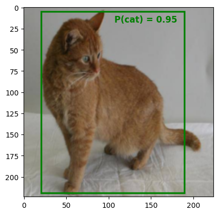 Cat Image with a green bounding box