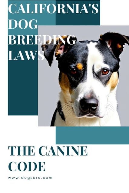 California’s Dog Breeding Laws: The Canine Code