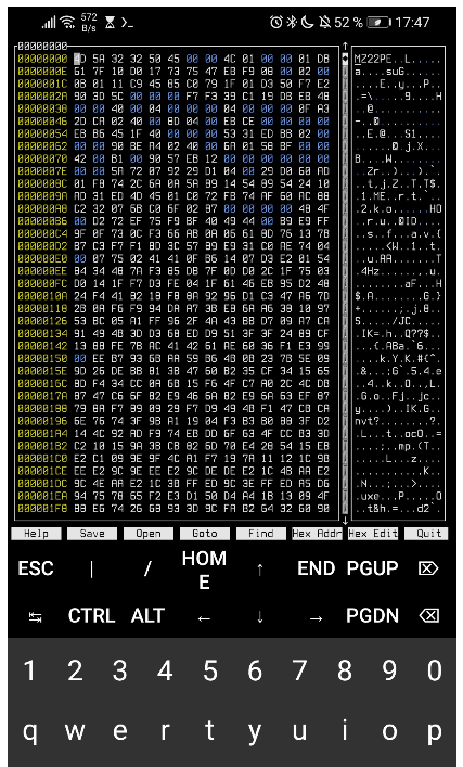 Muestra de un archivo binario editado con hexcurse