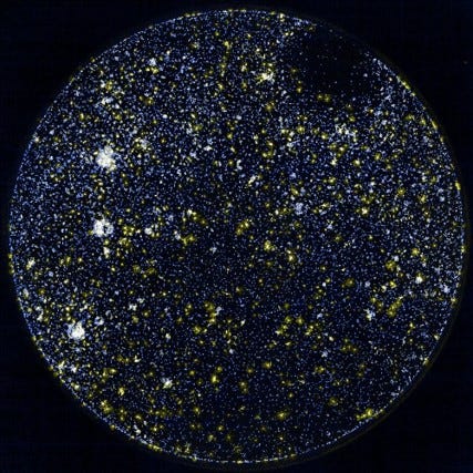 Oligodendrocytes derived from a multiple sclerosis patient. The Oligodendrocytes are light blue and yellow specks scattered about a black background, almost resembling a densely starry night sky. Image credit: Maria Sapar, PhD