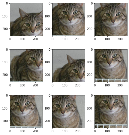 Hasil kode augmentasi data citra kucing yang telah dilakukan random crop