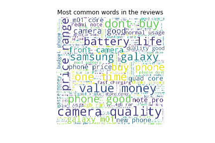 Most common words in the reviews