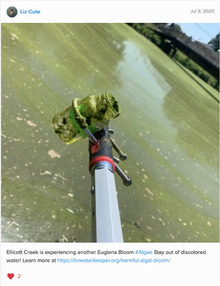 Map shows a grip holding a glass smothered in a green algae substance while taking a sample from green water.