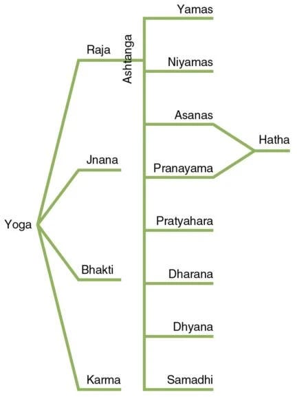 Image of Yoga hierarchy