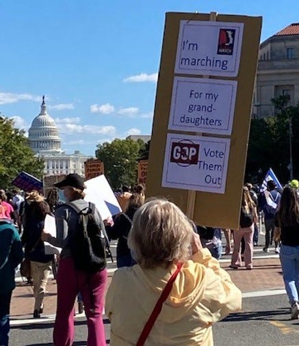 Sign reading “I’m marching for my granddaughters. Vote them out.”
