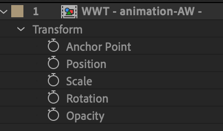 layer properties