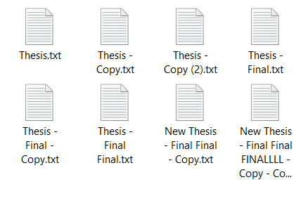 Many versions of the same file