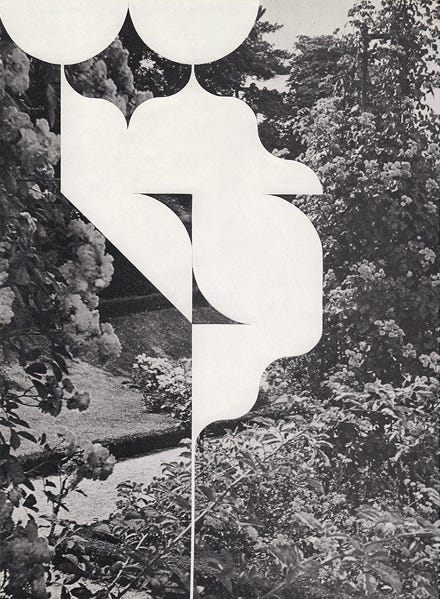 Two black and white photographs, a garden  and a view looking up into the tree tops, collaged together with geometric cut outs.