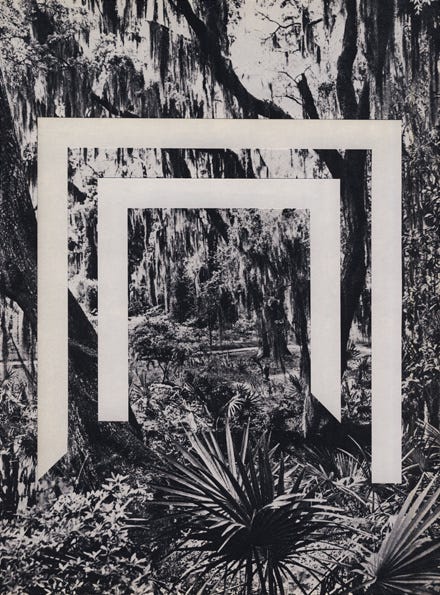 A collage of a jungle-like landscape with two cut outs that look like doorways or trellises going into the frame.