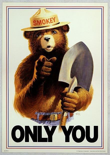 Smokey the bear on a poster that reads ‘only you’