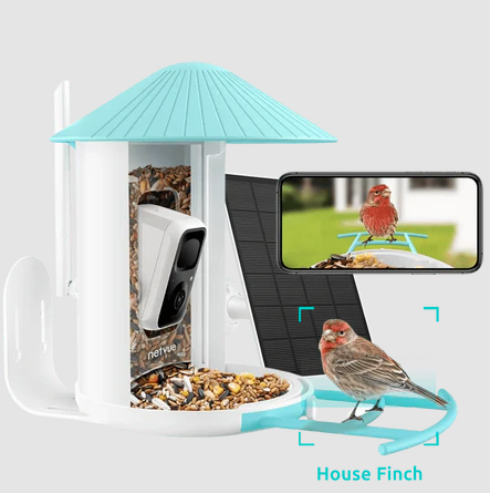 Solar-Powered Camera Bird Feeder 2