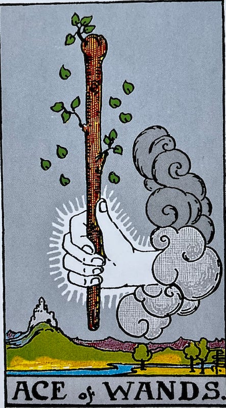 The Ace of Wands — a hand from the clouds hold a large wooden wand