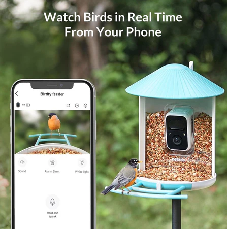 Solar-Powered Camera Bird Feeder