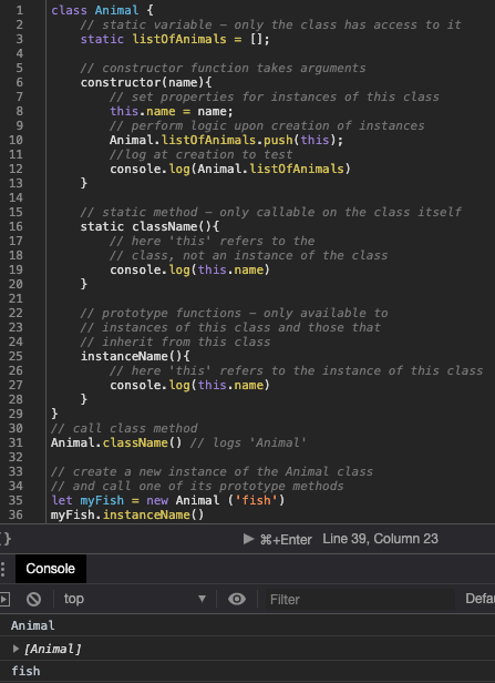 code snippet showing the animal class and an instance of it.