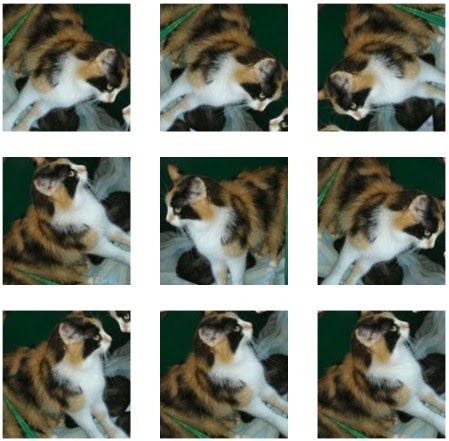 Contoh citra kucing yang telah dilakukan augmentasi data