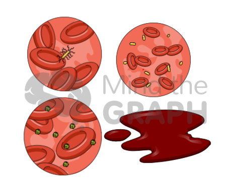 blood_sepse_scientifc_illustrations