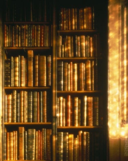 View of a book case at the John Rylands Library with historic bindings on the shelves and dappled light coming in through the window to the right
