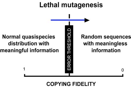 Error catastrophe and lethal mutagenesis. Source: Research Gate