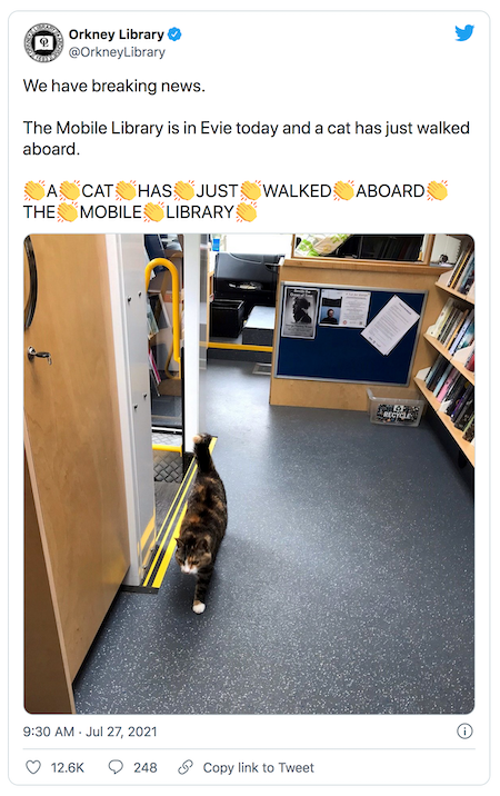 Tweet with text: We have breaking news. The Mobile Library is in Evie today and a cat has just walked aboard. 👏A👏CAT👏HAS👏JUST👏WALKED👏ABOARD👏THE👏MOBILE👏LIBRARY👏