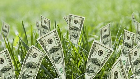 USA One Hundred Dollar Bills Growing out of the Ground with Green Grass