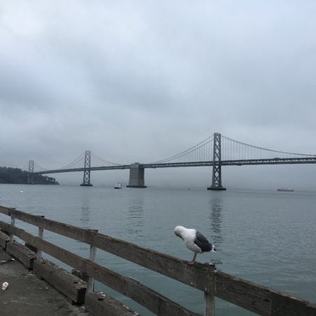 SanFrancisco_morning_view