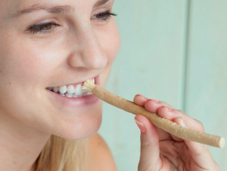 Ein natürliches Wundermittel für die Zahnhygiene- Siwak — Miswak Mohamad Alaskari