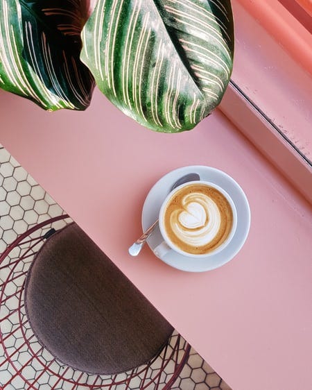 Photo of a cappuccino on a pink table with a section of a Calathea Ornata leaf in view