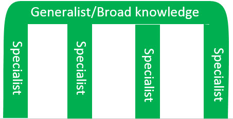 A green comb graph that has on the spine a label that says “Generalist/Broad knowledge” and on the 4 teeth a label that says “Specialist”. This graph represent the general path of a person career from Generalist to Specialist.