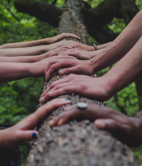 Many hands on top of a log