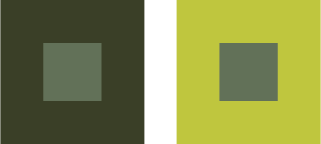 Coloured squares illustrating perceptual adaptation
