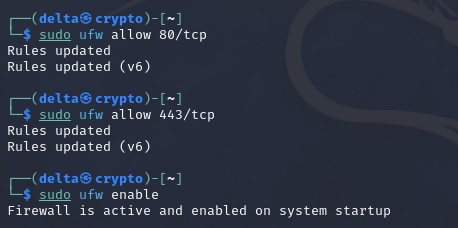 Example of using sudo ufw allow and ufw enable command