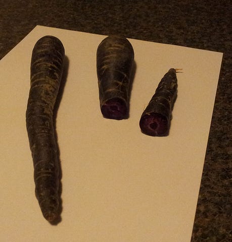 purple carrots 1