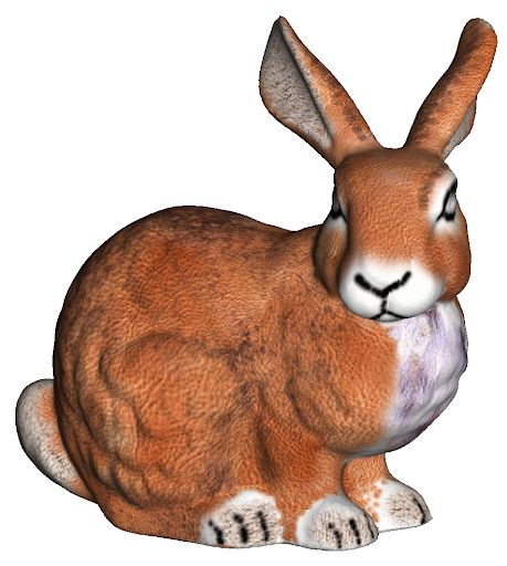After Adding texture to the Stanford Bunny