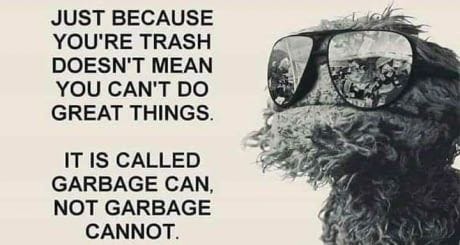 Oscar the Grouch wearing aviators next to text that says “Just because you’re trash doesn’t mean you can’t do great things. It’s called garbage can, not garbage cannot.”