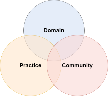 Overlap between domain, practice and community