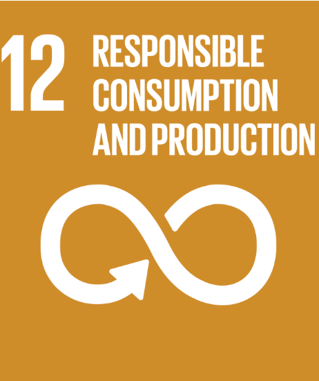   Web Summit 2018 UN SDG 12: Responsible Consumption and Production