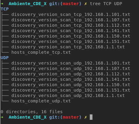 Figure 6: TCP and UDP port scanner reports.