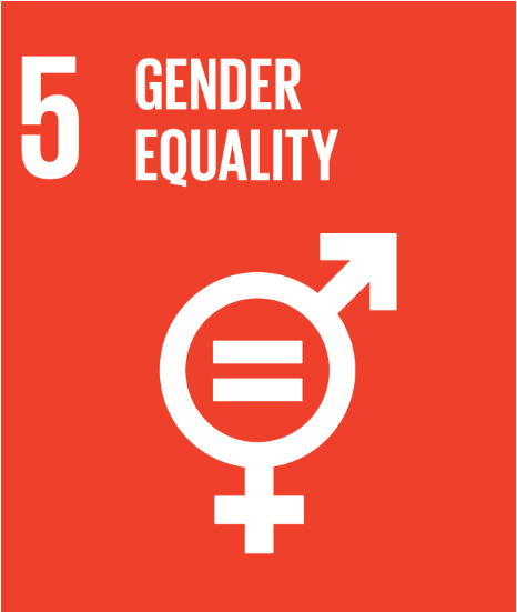   Web Summit 2018 UN SDG 5: Gender Equality