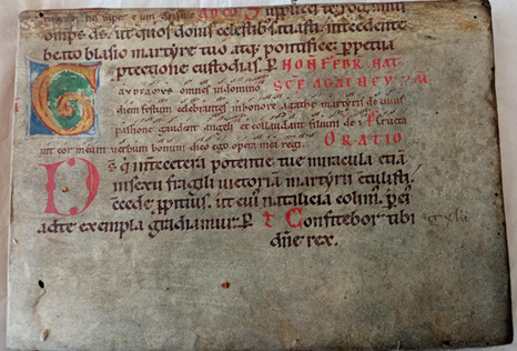 Back board of a book covered in a light brown parchment binding. The binding has neat twelfth century handwriting in red and black with a gold letter G in a green background and a large red D