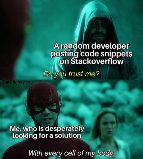 A screenshot from Flash of him talking to a hooded stranger. The text says a random developer on stack overflow posting code, do you trust me? And flash responds “with every cell of my body”