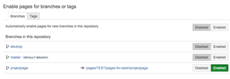Enable pages for branches or tags