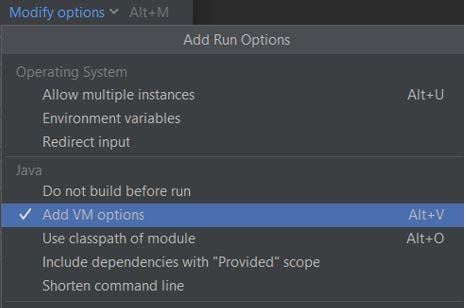 Capture showing how to add VM Options section to the main class configuration in IntelliJ