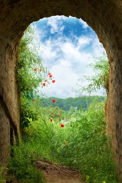 A thick archway made of stone opens into a lush meadow with red flowers nearby and a forest in the distance.