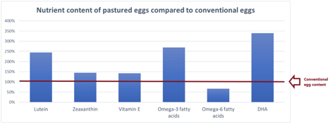 Nutrient content of pastured eggs compared to conventional eggs